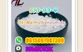 613-93-4 N-Methylbenzamide hot selling