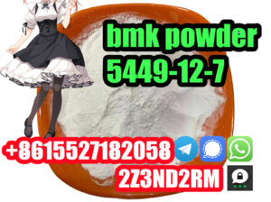 Europe market warehouse bmk powder 5449-12-7
