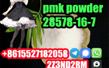 factory sell PMK powder pmk oil 28578-16-7