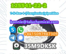 125541-22-2 1-N-Boc-4-(Phenylamino)piperidine