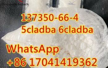 137350-66-4 5cl adba 6CL hotsale in the United Sta