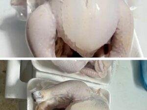 دجاج مبرد طازج يومي,دجاج لاحم طازج ولذيذ,دجاج لاحم