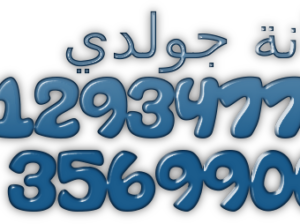 صيانة جولدي فرع الهرم 01095999314