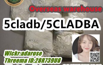 Wholesale 5cladba, 5CL ,5CL-ADB-A, 5F-ADB 6cladb5C