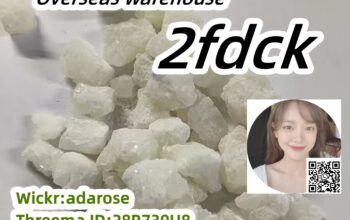 100% safe delivery to your door 2fdck CAS:11198