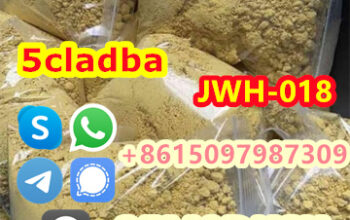 Hot selling high quality 5cl stock