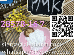 Buy high quality PMK Glycidate cas:28578-16-7