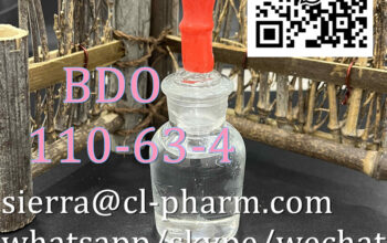 Hot Sale 1,4-Butanediol CAS 110-63-4 B DO in stock