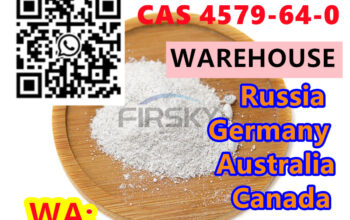 WA:86 13667114723 |D-Lysergic Acid Methyl Ester