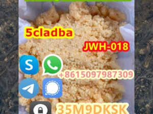 Hot selling high quality 5cl stock