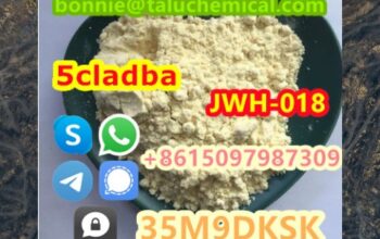 Hot selling high quality 5cl stock