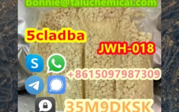 Hot selling high quality 5cl stock