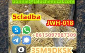 Hot selling high quality 5cl stock