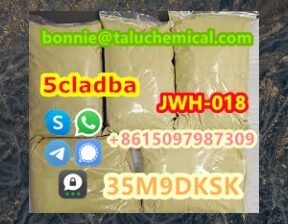 Hot selling high quality 5cl stock