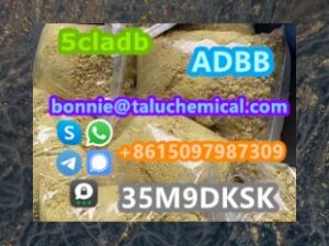 Hot selling high quality 5cl stock