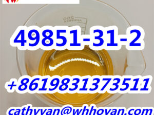 shanhe buliding #5005, xudong road, wuchang distri