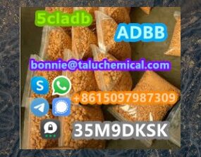 Hot selling high quality 5cl stock