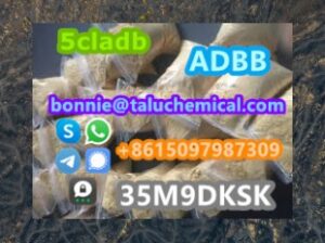 Hot selling high quality 5cl stock