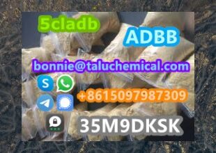 Hot selling high quality 5cl stock