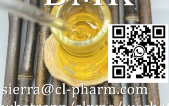 99.9% High Purity New BMK Oil Diethyl(phenylacetyl