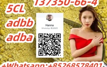 Hot Selling 5CL adbb adba137350-66-4