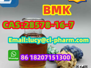 Wholesale Direct Sales of PMK ethyl glycidate(2857