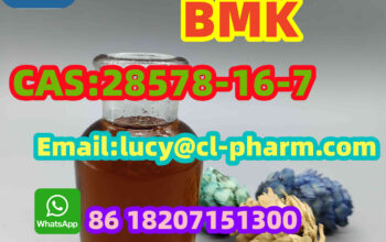 Wholesale Direct Sales of PMK ethyl glycidate(2857