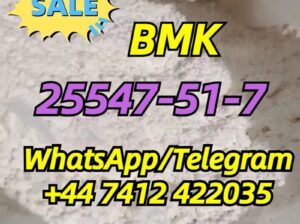 cas.25547-51-7 BMK Glycidic Acid