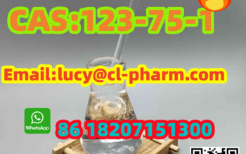 Supply High quality Pyrrolidine CAS 123-75-1 bulk