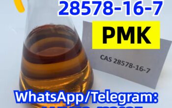 cas.28578-16-7 PMK ethyl glycidate