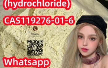  buy Protonitazene (hydrochloride) CAS119276-01-6 