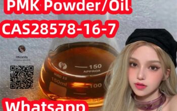 American popular PMK ethyl glycidate CAS28578-16-7