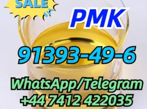 cas.91393-49-6 PMK