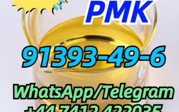 cas.91393-49-6 PMK