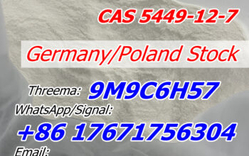 Bmk Glycidic Acid CAS 5449-12-7/41232-97-7 Poland