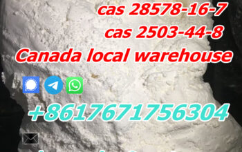 CAS 28578-16-7 PMK Ethyl Glycidate CAS 2503-44-8