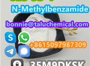 613-93-4 N-Methylbenzamide