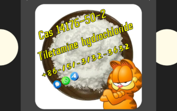 Max MustermannMusterstrae 12312345 MusterstadtBerl