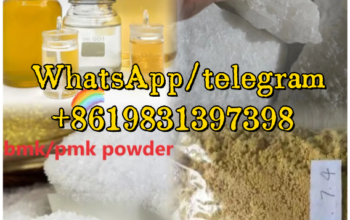 BMK/Pmk/CAS 5413-05-8/CAS 102-97-6/CAS 61-54-1/CAS