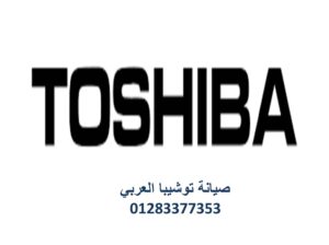 عنوان صيانة غسالات توشيبا طامية 01023140280