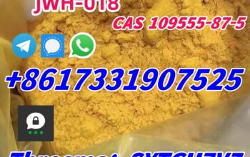 Factory sales CAS 28578-16-7 52190-28-0 PMK ethyl