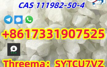 High quality CAS 111982-50-4 2- fdck 2-fluorodesch