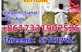 Factory sales CAS 802855-66-9 EUTYLONE MDMA BK-MDM