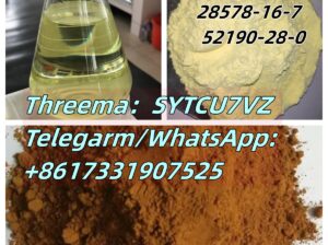 Factory sales CAS 28578-16-7 52190-28-0 PMK ethyl