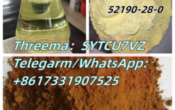 Factory sales CAS 28578-16-7 52190-28-0 PMK ethyl