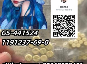 Hot Selling GS-441524 1191237-69-0
