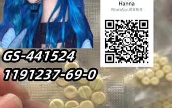 Hot Selling GS-441524 1191237-69-0