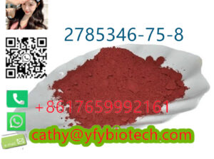 200 meters north of 50 meters north of the Malaysi