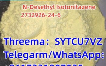 strong Original CAS 2732926-24-6 N-Desethyl Isoton