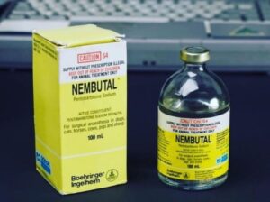 BUY NEMBUTAL ONLINE ,BUY PENTOBARBITAL SODIUM, BUY